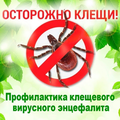 Всероссийская горячая линия по профилактике клещевого энцефалита и инфекций, передающихся клещами.